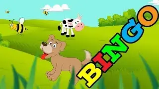 Песня BINGO для собак - Песня Бинго для детей
