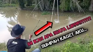 🔴fuul strike nangkul di sore hari tendangan ikan ini seperti buaya yg sedang marah..
