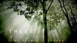 Thomas J. Curran - Trees (Feat. Taisia Sandetcaia)