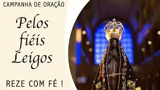 Pelos fi&eacute;is leigos - 