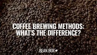 Coffee Brewing Methods: What's The Difference? | Bean Box&reg;