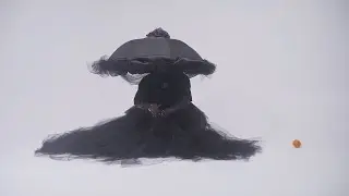 Redgee - Boys Don’t Cry (Vidéo Officielle)
