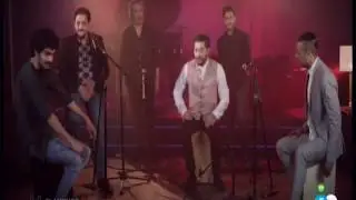 piculabe camaronero 2018