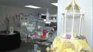 The Wedding Store - Wausau Wedding and Event Planning