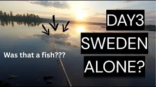 My first SOLO roof tent Car trip to Sweden- Day3 First time fishing in Sweden