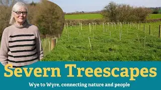 Planting 1800 trees in Oxenhall | Gloucestershire | Severn Treescapes