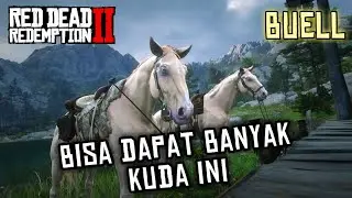 Cara Mendapatkan 2 Kuda Buell (Dutch Warmblood Cremello Gold) - Red Dead Redemption 2