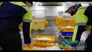 Scalloway fish market