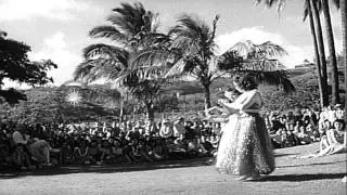 Hawaiian girls and a man perform the hula as a crowd of spectators watches in Hon...HD Stock Footage