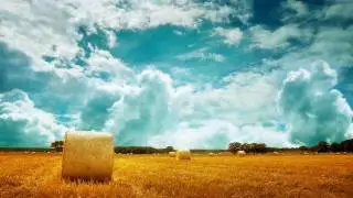 Will Atkinson feat. Nicole Tyler - Forgotten Fields (Original Vocal Mix)