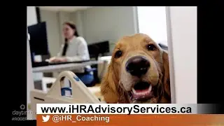 COVID-19 Two Years Later - How The Workplace Has Changed | Rogers tv