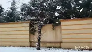 📢🎤الحاضر يعلم الغايب سكوب حصري البيتوتي حصل قطي 😱 وشكون كان معه شدهوم الرادار البقة قربلاتها عليهم 