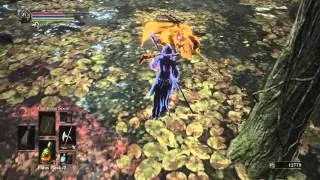 DARK SOULS 3 - Disconnecting Elite Strats