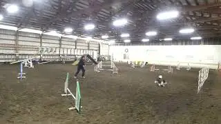 UKI home my arena Agility 2   8060 week 185 Chris Edmark H15358 Xtra D35154 12 inch jump height cham