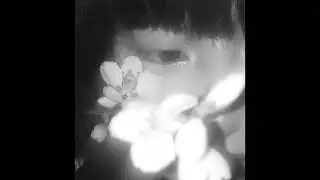 Alternative Rock Type Beat x Shoegaze - You're My Everything