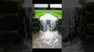 Heavy Rain & Irrigation Machine in Green Paddy Fields | Relaxing View