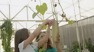 Initiatives de la ferme &agrave; la table en plein essor au Qatar