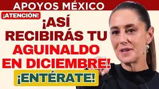 📢 &iquest;Tienes tarjeta INAPAM? As&iacute; recibir&aacute;s tu aguinaldo en diciembre 💰✅