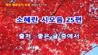 소혜란 시모음 25편 UHD 4K