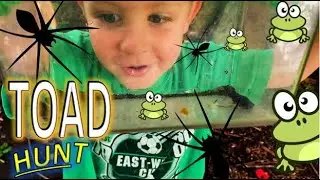 TOAD HUNT for KIDS in the Backyard! Finding REAL BUGS, LIZARD, CRICKETS, Spiders, Beetles & SNAILS!!