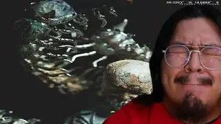 ALBUM REACTION SWALLOWING CENTPEDES ISTASHA