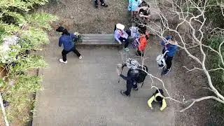 雲嘉五連峰