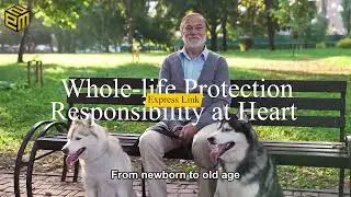 🌟 Express Link Insurance &mdash; Technology Protection &middot; Future Prosperity