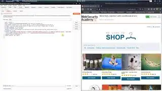 Слепая SQL-инъекция с условными ошибками (Видеорешение, Аудио)