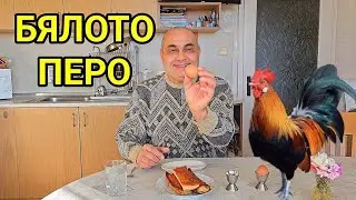 Зимна ваканция на село!Старият Петльо и неговата съдба... История за добротата и привързаността!