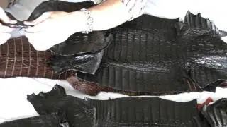 Крест американского аллигатора и каймана, сравнение 38-42 см.