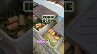 Backyard Crayfish Farming: Small Space, Big Profits! 💯