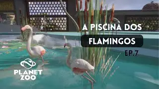 FIZ uma PISCINA para os FLAMINGOS no Planet Zoo 2025| Gameplay  PTBR