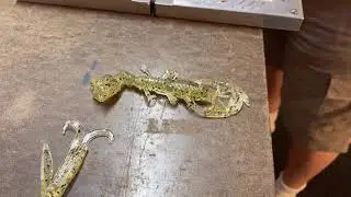 Sand color match.