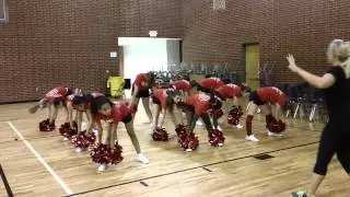 Pom Ripple 1