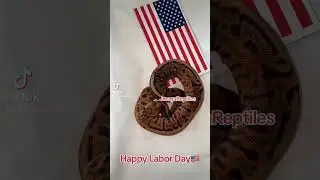 Happy Labor Day  2023&rsquo;