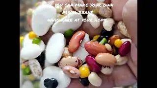 Yummy & Easy to Make 16 Bean Protein Soup  #easyrecipe #food #cooking #recipe #beans #soup #healthy