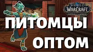Где находится торговка питомцами счастливая Холауа?
