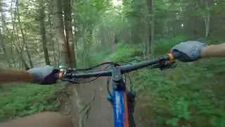 Bmc fourstroke bici campeona del mundo..Dt swiss Sram Fox factory Esto es Mountain biking