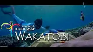 WAKATOBI: The World Coral Triangle
