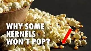 Why Some Of Popcorn Kernels Don&rsquo;t Pop