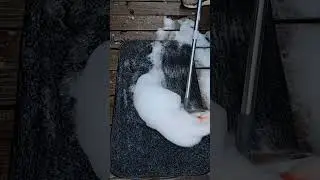 DIRTY RUG TRANSFORMATION! Hand Scrubbing a Black & White Wool Rug