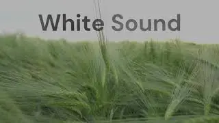 White sound  Tinnitus masking