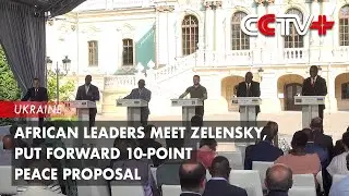African Leaders Meet Zelensky, Put forward 10-point Peace Proposal