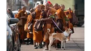 Monks reach Carolinas in cross-country walk for peace
