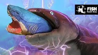 L'anguilla gigante - Feed and Grow Fish