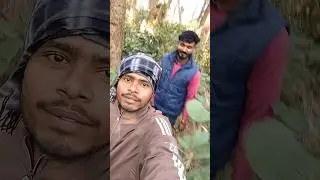 AMAZON JUNGLE 😂funny video #shorts #funny #viral #amazonjungle