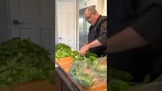 Kalera's Chef Cliff Cuts Romaine