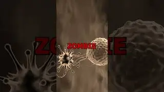 Wirus &bdquo;zombie&rdquo; ożywiony🦠Czy powinniśmy się bać?