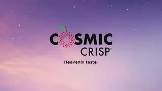 Cosmic Crisp&reg; - Heavenly taste.
