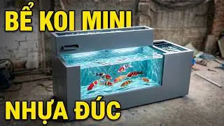 Bể nuôi cá Koi mini🐬 (200x75x75) Nhựa đúc nguyên khối _ Giang Minh Composite